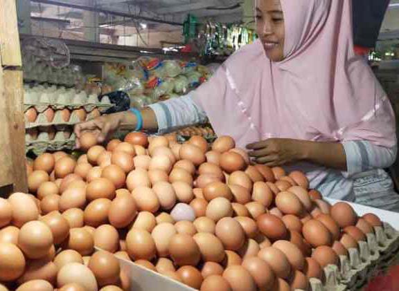 Harga Telur Ayam Tembus Rekor Tertinggi, Ini Alasannya?