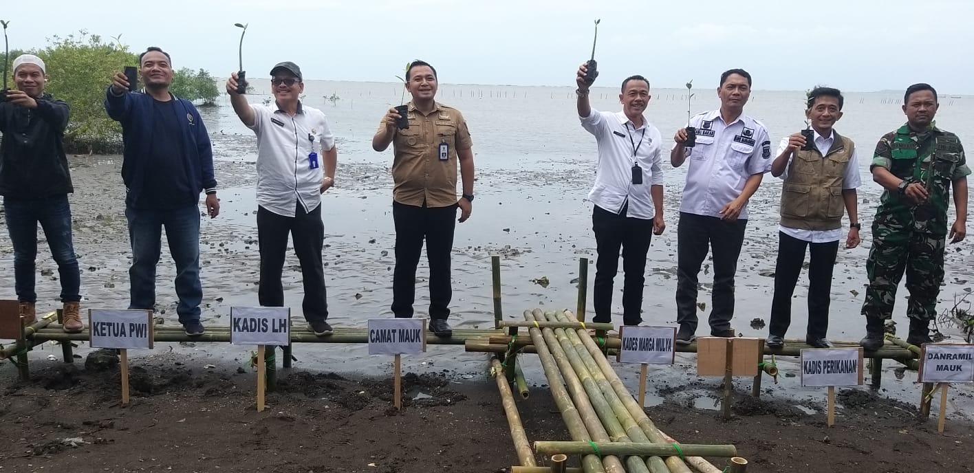 Sambut HPN 2023, PWI Kabupaten Tangerang Tanam 1000 Mangrove di Pesisir Mauk