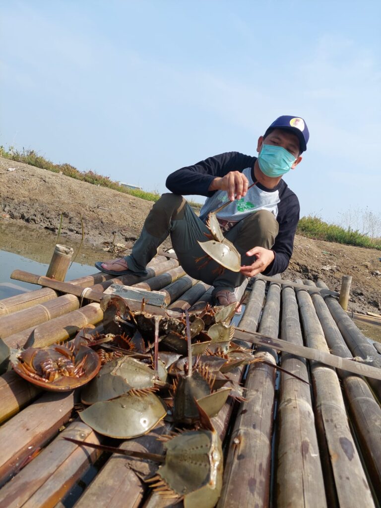 Temukan Satwa Langka, Pemkab Tangerang Berhasil Tingkatkan Kualitas Perairan di Kawasan Pesisir