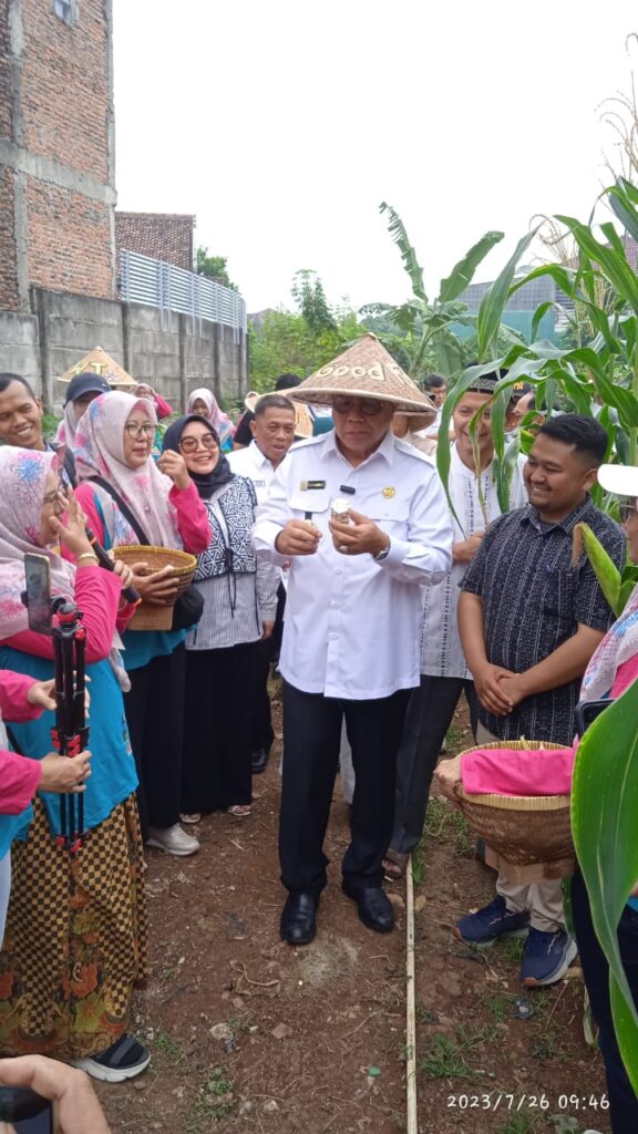 Wali Kota Tangsel Panen Jagung Pulut di KWT Binaan IKPP Tangerang