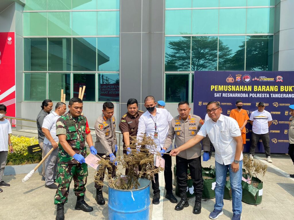 Pohon Ganja Milik Fotografer Dimusnahkan Petugas