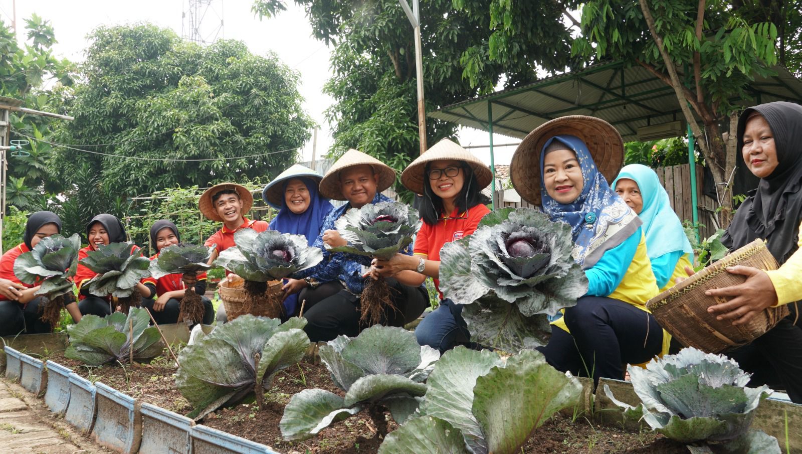 KWT Anthurium Jadi Kampung Alfamart Sahabat Bumi