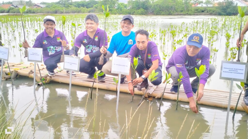 Tanam Mangrove, PWI Cinta dan Peduli Lingkungan