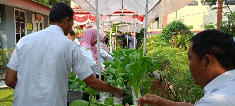 Urban Farming Jaga Ketahanan Pangan Lokal
