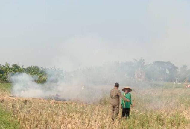 Awas! Bakar Sampah Sembarangan di Kota Tangerang Bakal Kena Sanksi