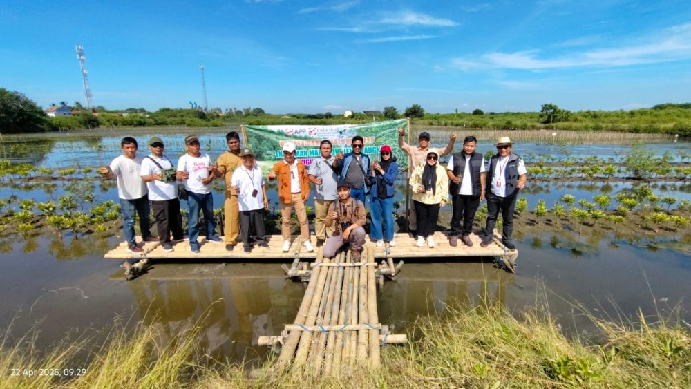 Hari Bumi 2025, IKPP Tangerang Sinergi dengan Pemkab Tangerang Tanam Mangrove Jenis Langka