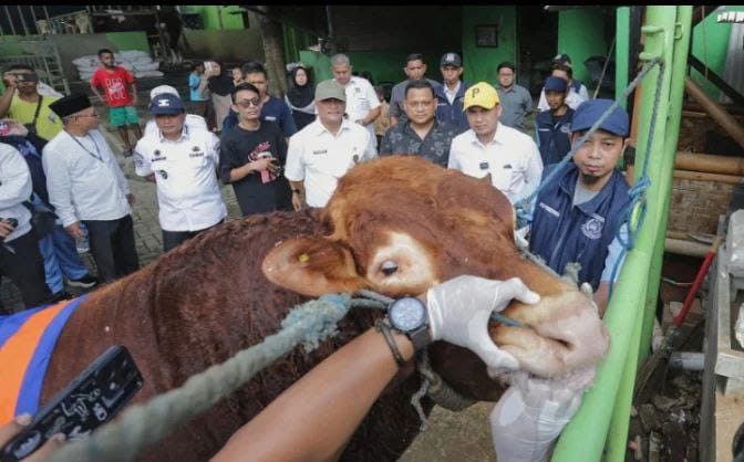 Pemkot Tangsel Perketat Pengawasan Jelang Iduladha, Pilar Jelaskan Ini
