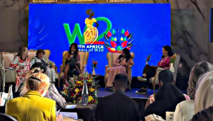 W20 Summit di Afrika Selatan, Indonesia Hadirkan Perempuan Digital Sisternet