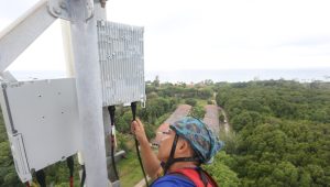 XLSMART Raih Pertumbuhan Double Digit di Q3 2025